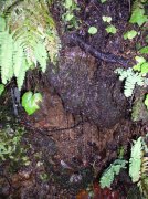 10.28.05 Devil's Rest 151 